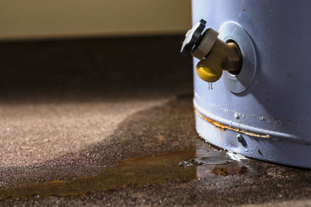 Best Flood restoration services  in St Charles, MI