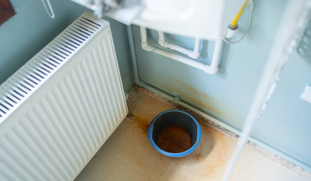 Best Residential water damage restoration  in St Charles, MI